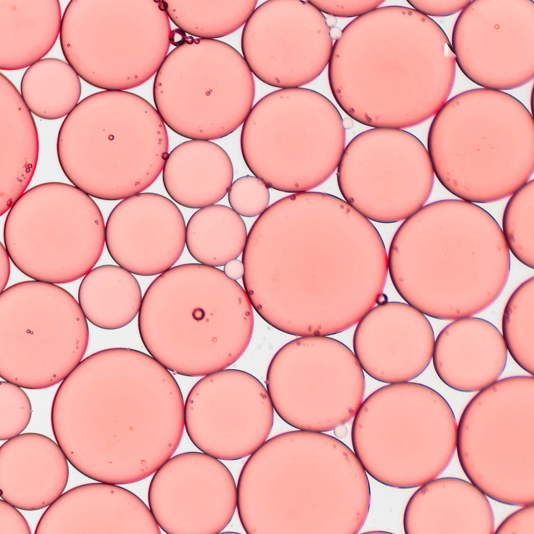 Hormones and Longevity: How to Optimize Hormonal Health