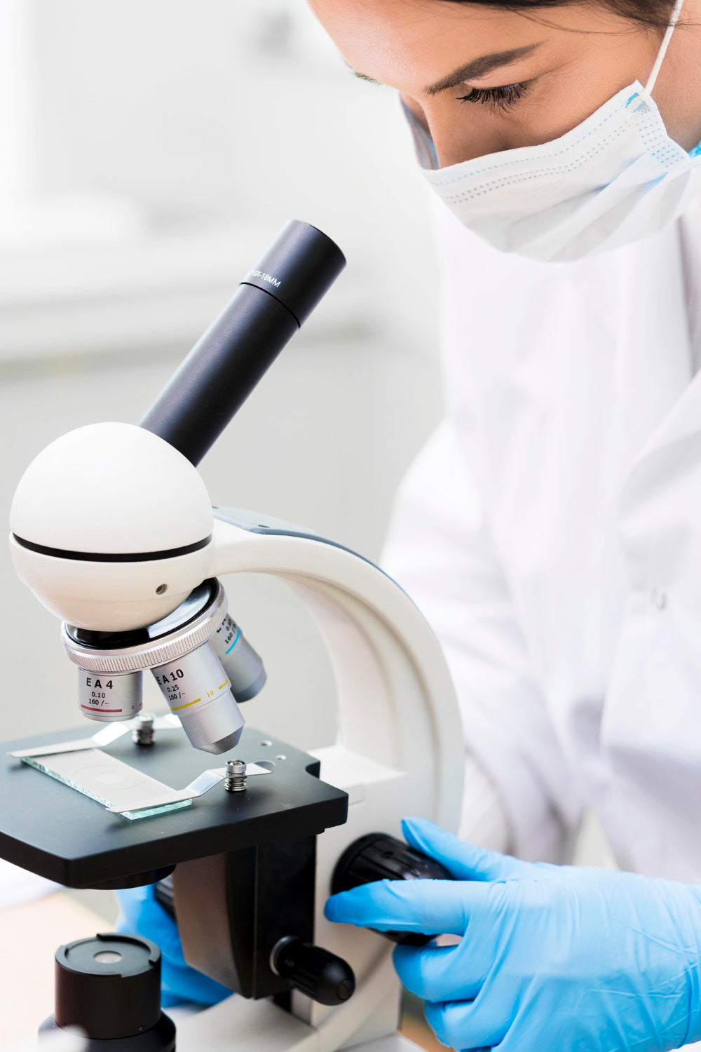 Gut Health and Longevity: How Your Microbiome Influences Healthy Aging
