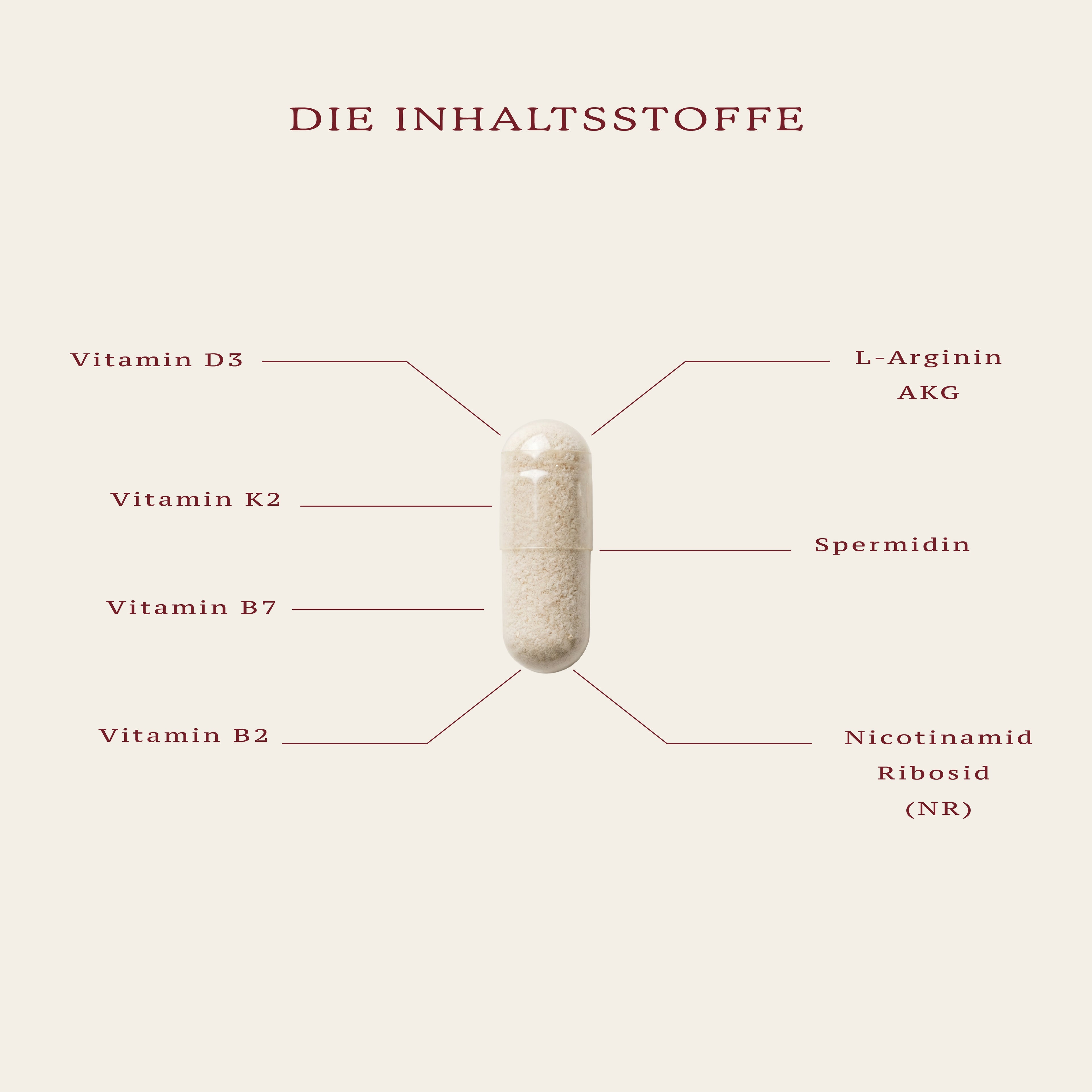 6 MONATE VOLLSTÄNDIGE REISE: 25% VORTEIL