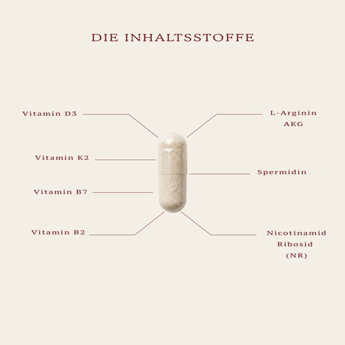 3-MONATS-PROTOKOLL: 20 % VORTEIL