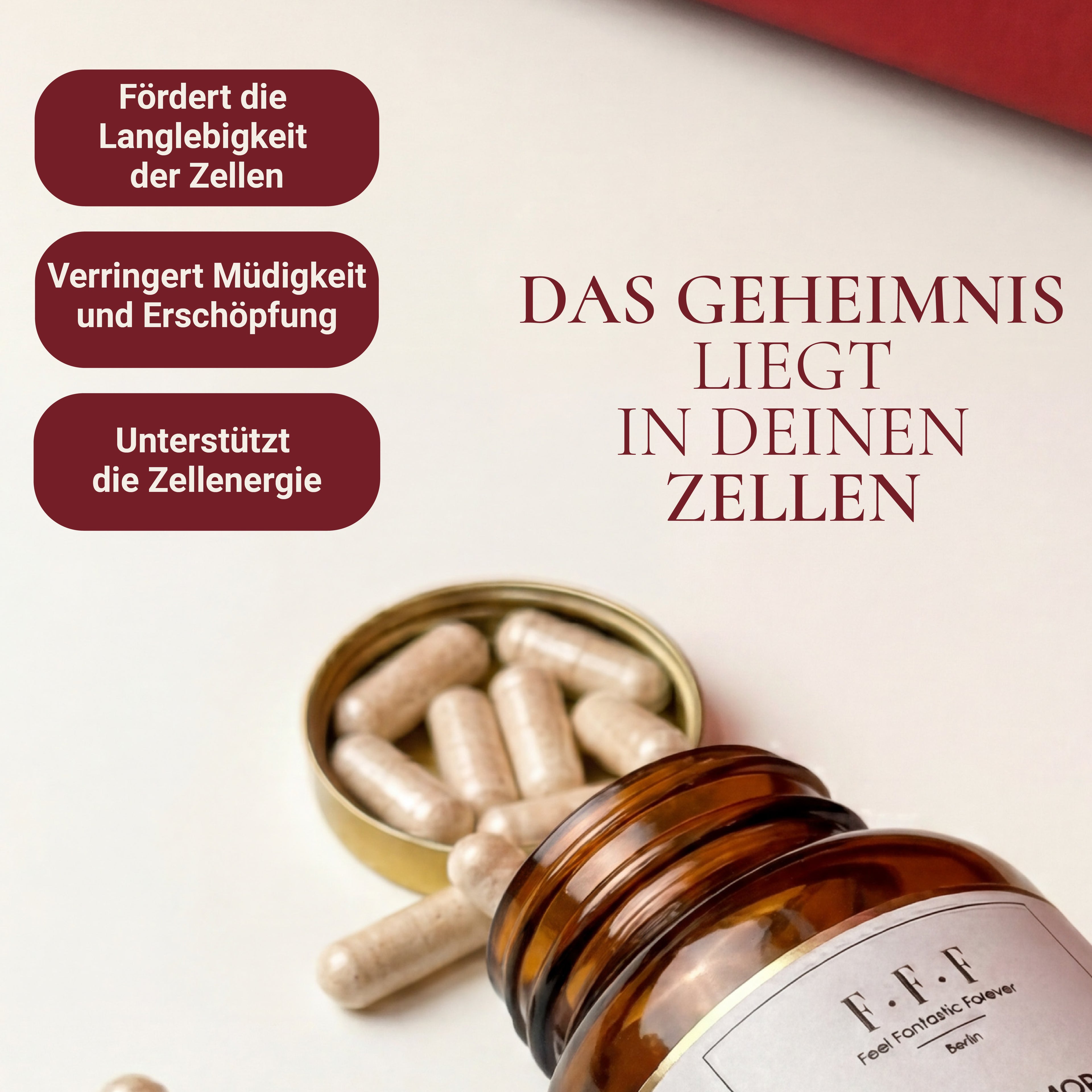 6 MONATE VOLLSTÄNDIGE REISE: 25% VORTEIL